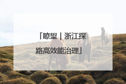 瞭望｜浙江探路高效能治理
