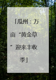 瓜州：万亩“黄金草”迎来丰收季