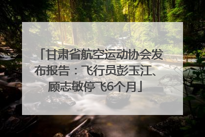 甘肃省航空运动协会发布报告：飞行员彭玉江、顾志敏停飞6个月