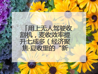 用上无人驾驶收割机，麦收效率提升七成多（经济聚焦·夏收里的“新选手”）