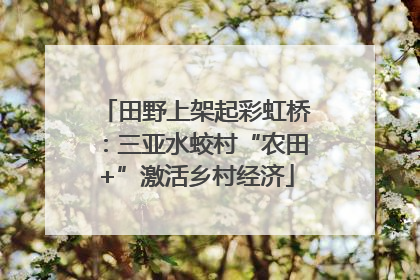 田野上架起彩虹桥：三亚水蛟村“农田+”激活乡村经济