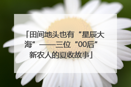 田间地头也有“星辰大海”——三位“00后”新农人的夏收故事