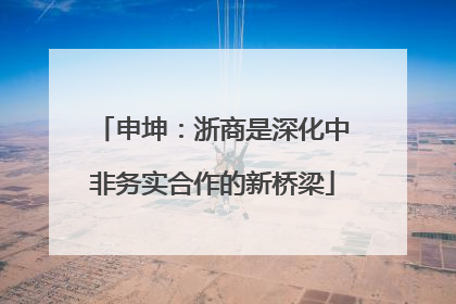申坤：浙商是深化中非务实合作的新桥梁