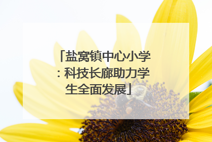 盐窝镇中心小学：科技长廊助力学生全面发展