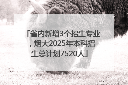 省内新增3个招生专业，烟大2025年本科招生总计划7520人