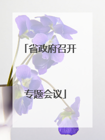 省政府召开专题会议