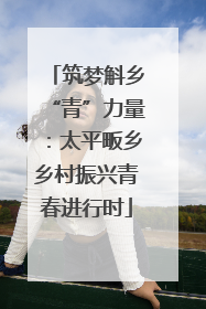 筑梦斛乡“青”力量：太平畈乡乡村振兴青春进行时