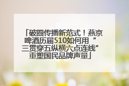 破圈传播新范式！燕京啤酒历届510如何用“三贯穿五纵横六点连线”重塑国民品牌声量
