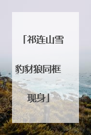 祁连山雪豹豺狼同框现身