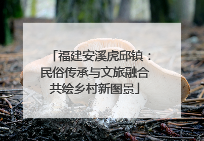福建安溪虎邱镇：民俗传承与文旅融合共绘乡村新图景