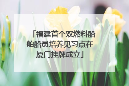 福建首个双燃料船舶船员培养见习点在厦门挂牌成立