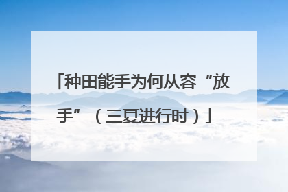 种田能手为何从容“放手”（三夏进行时）