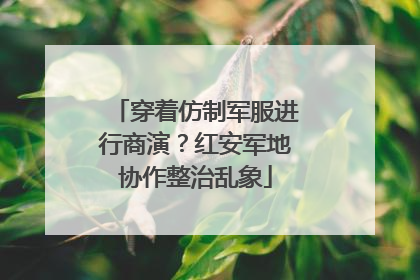 穿着仿制军服进行商演？红安军地协作整治乱象