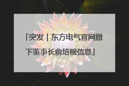突发｜东方电气官网撤下董事长俞培根信息
