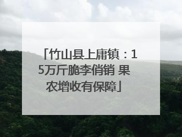 竹山县上庸镇：15万斤脆李俏销 果农增收有保障