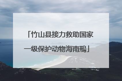 竹山县接力救助国家一级保护动物海南鳽