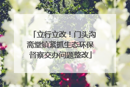 立行立改！门头沟斋堂镇紧抓生态环保督察交办问题整改