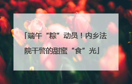 端午“粽”动员！内乡法院干警的甜蜜“食”光