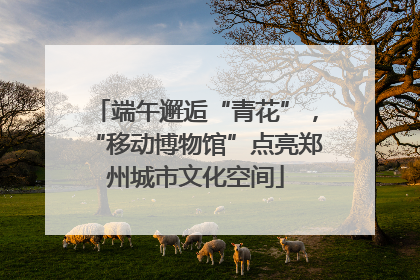 端午邂逅“青花”，“移动博物馆”点亮郑州城市文化空间
