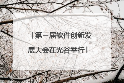第三届软件创新发展大会在光谷举行
