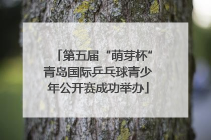 第五届“萌芽杯”青岛国际乒乓球青少年公开赛成功举办