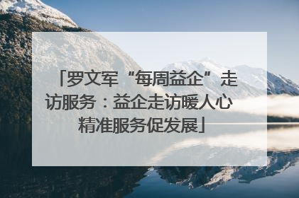 罗文军“每周益企”走访服务：益企走访暖人心 精准服务促发展