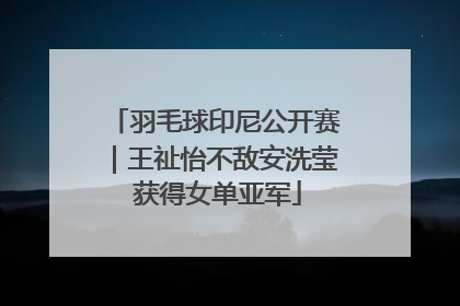 羽毛球印尼公开赛｜王祉怡不敌安洗莹 获得女单亚军