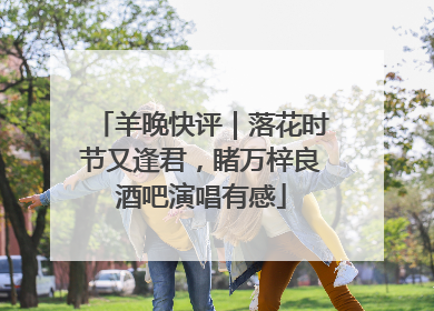 羊晚快评｜落花时节又逢君，睹万梓良酒吧演唱有感