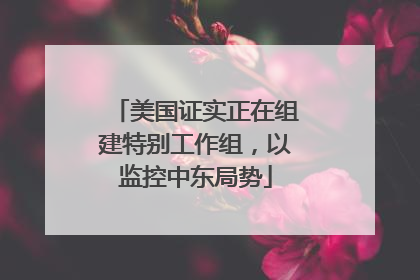 美国证实正在组建特别工作组，以监控中东局势