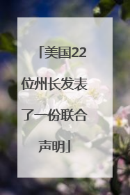 美国22位州长发表了一份联合声明