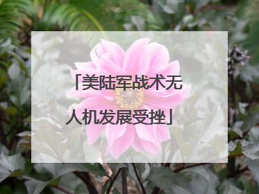 美陆军战术无人机发展受挫