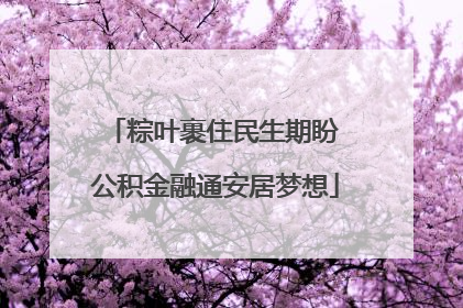 粽叶裹住民生期盼 公积金融通安居梦想