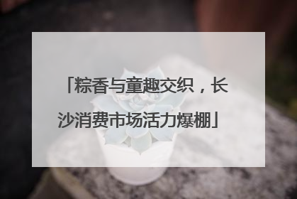 粽香与童趣交织，长沙消费市场活力爆棚