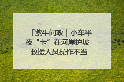 紫牛问政｜小车半夜“卡”在河岸护坡 救援人员操作不当致小车翻下河，然后直接走人了