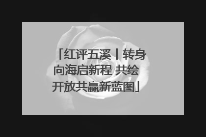 红评五溪丨转身向海启新程 共绘开放共赢新蓝图