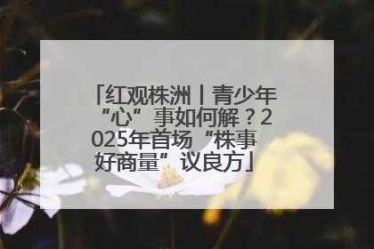 红观株洲丨青少年“心”事如何解？2025年首场“株事好商量”议良方