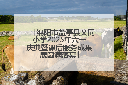 绵阳市盐亭县文同小学2025年六一庆典暨课后服务成果展圆满落幕