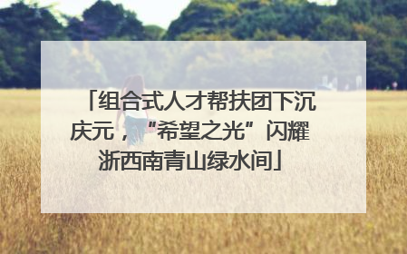 组合式人才帮扶团下沉庆元，“希望之光”闪耀浙西南青山绿水间