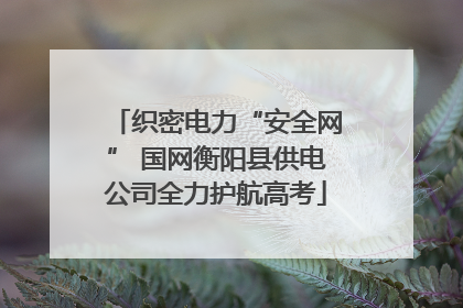 织密电力“安全网” 国网衡阳县供电公司全力护航高考