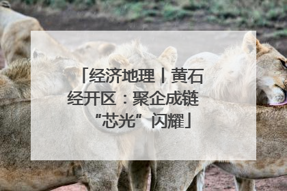 经济地理丨黄石经开区：聚企成链“芯光”闪耀