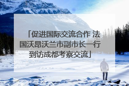 促进国际交流合作 法国沃昂沃兰市副市长一行到访成都考察交流