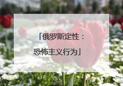 俄罗斯定性：恐怖主义行为