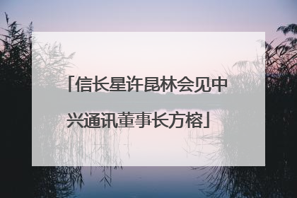 信长星许昆林会见中兴通讯董事长方榕