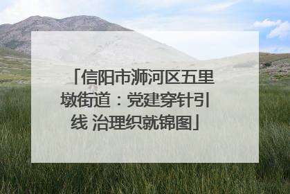 信阳市浉河区五里墩街道：党建穿针引线 治理织就锦图