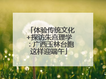 体验传统文化+探访朱熹理学：广西玉林台胞这样迎端午