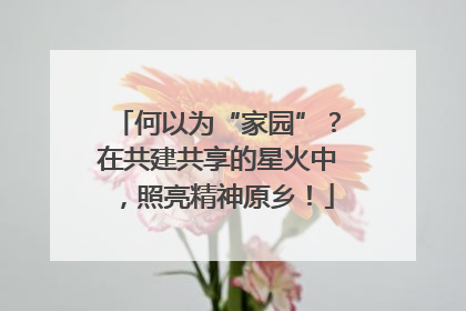 何以为“家园”？在共建共享的星火中，照亮精神原乡！