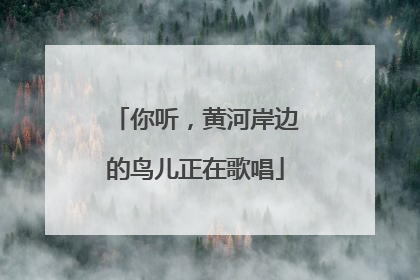 你听，黄河岸边的鸟儿正在歌唱