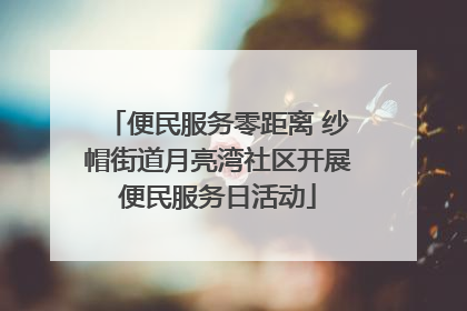 便民服务零距离 纱帽街道月亮湾社区开展便民服务日活动