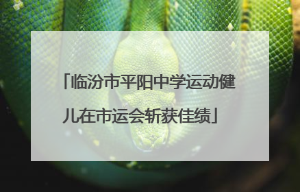临汾市平阳中学运动健儿在市运会斩获佳绩