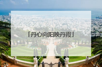 丹心向阳映丹霞